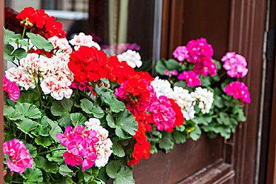 Steam限时喜加一：暗黑地牢探险游戏《地狱仆从》6月15日前免费领取